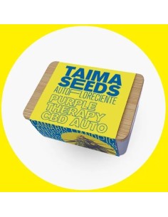 Purple Therapy CBD Auto 2