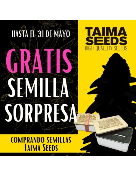 Surprise Taima Seed