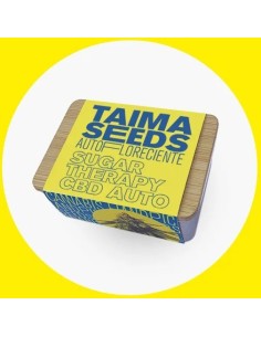 Sugar Therapy CBD Auto 2