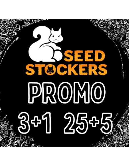 SeedStockers PROMO