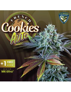 Auto French Cookies