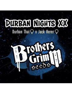 Durban Nights XX