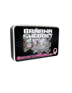 Banana Sherbet 2