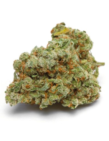 Double XL Banana Sherbet Auto