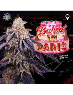 Baked in Paris 2