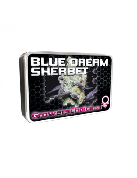 Blue Dream Sherbet