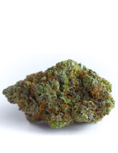 Blue Forest Berry Auto