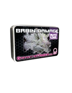 Brain Damage Auto 2