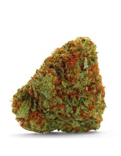 Bubblegum x Fat Hog 2