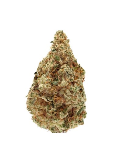 Charlottes Dream CBD