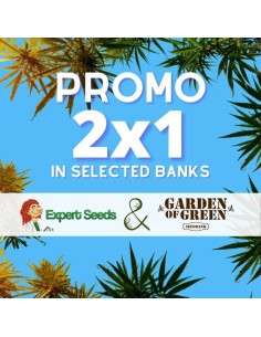 2x1 in Expert Seeds and Garden of Green