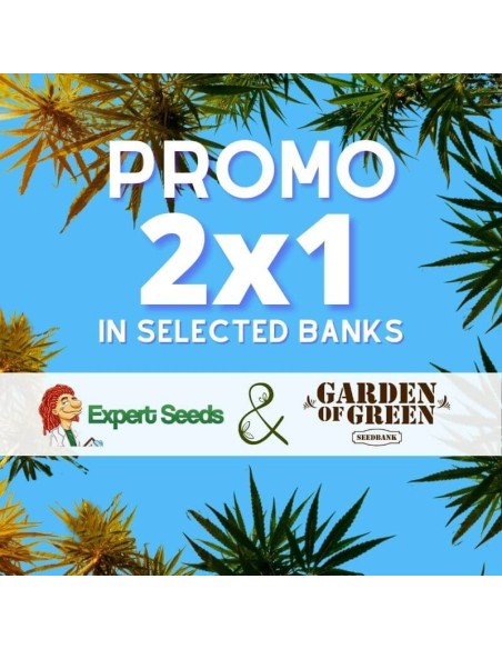 2x1 in Expert Seeds and Garden of Green