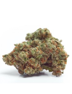 Gorilla Cookies Auto 2