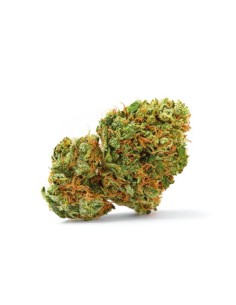 Grapefruit x Bubblegum Auto