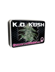 KO Kush 2