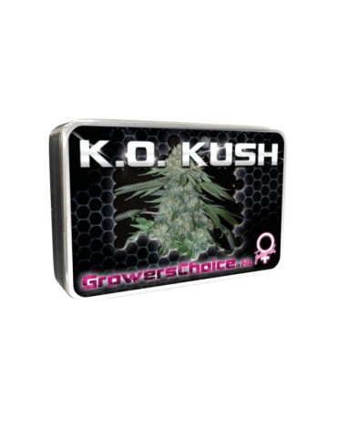 KO Kush