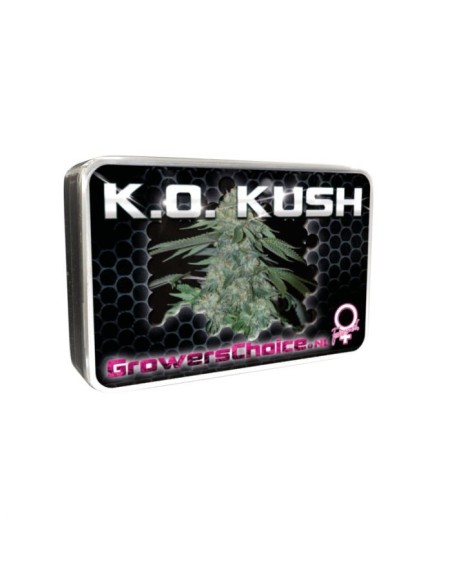 KO Kush