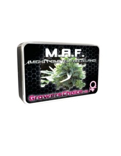 Mighty Amstel Freezeland MAF 2