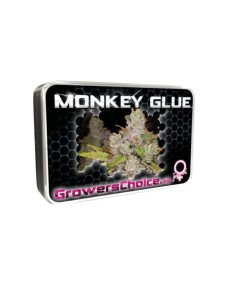 Monkey Glue 2