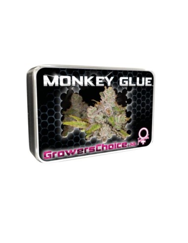 Monkey Glue