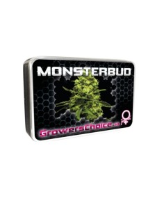 Monsterbud 2
