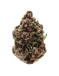 Pink Magic Fast Version