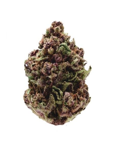 Pink Magic Fast Version