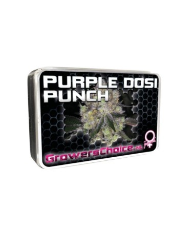 Purple Dosipunch