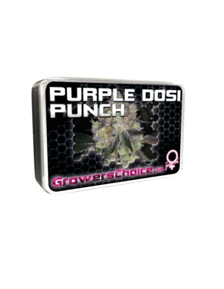 Purple Dosipunch