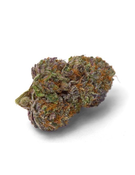 Purple Dosipunch