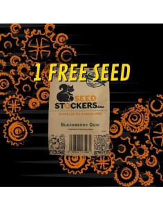 Free Blackberry Gum by SeedStockers