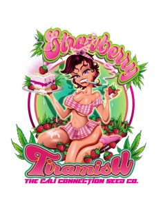 Strawberry Tiramisu 2