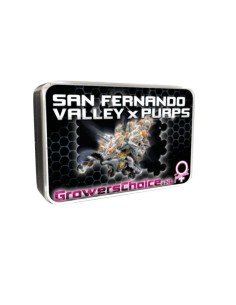 San Fernando Valley x Purps 2