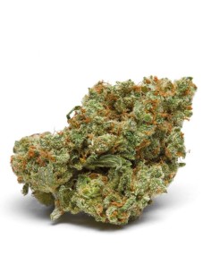 The Real Amnesia Auto 2