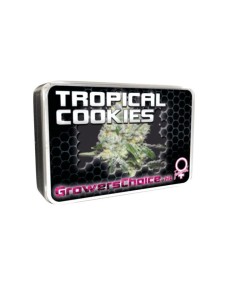 Tropical Cookies 2