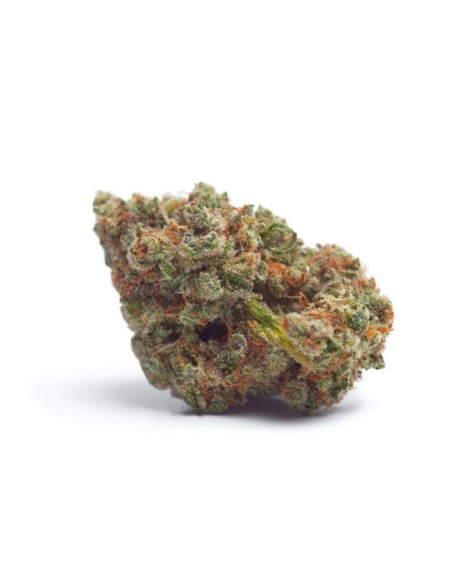 Tropicana Wedding Cake Auto