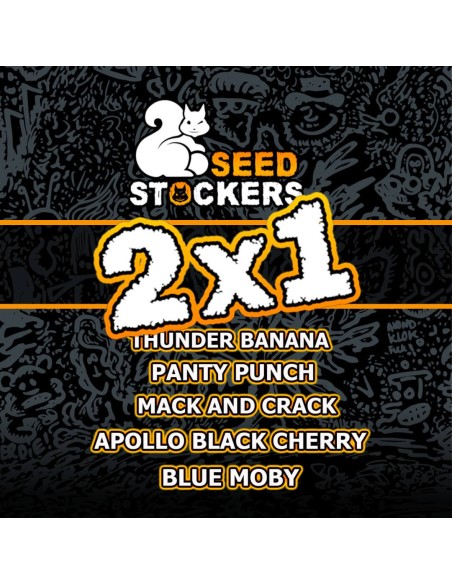 Seedstockers 2x1 Promo