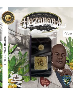 Hazanana SPECIAL PACK 2