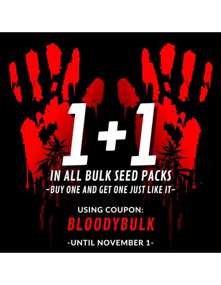 Halloween:  Buy One Get One Promo in Auto Bulk Seeds