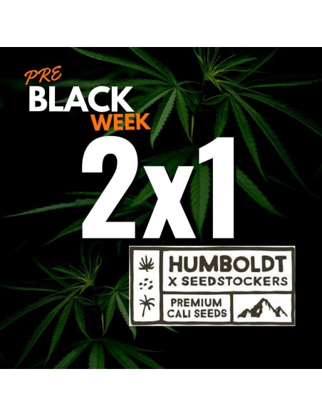 2 x 1 in Pack of 3 from Humboldt x Seedstockers