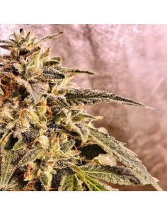 Marshmallow Pancakes 2