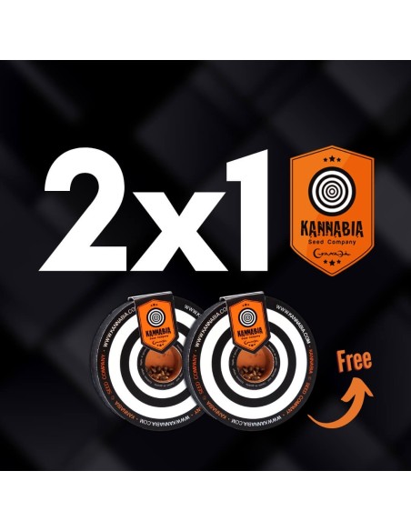 PROMO Kannabia 2x1