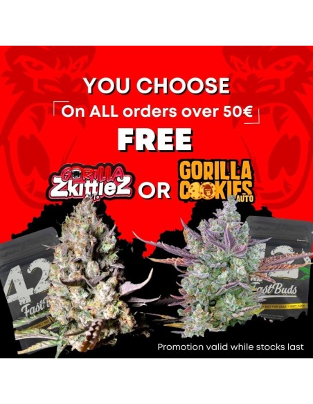 FREE Gorilla Cookies Auto
