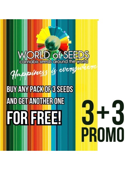 World of Seeds 3 + 3