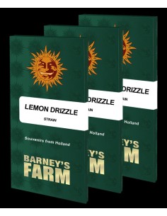 Lemon Drizzle - Barney's Farm 2