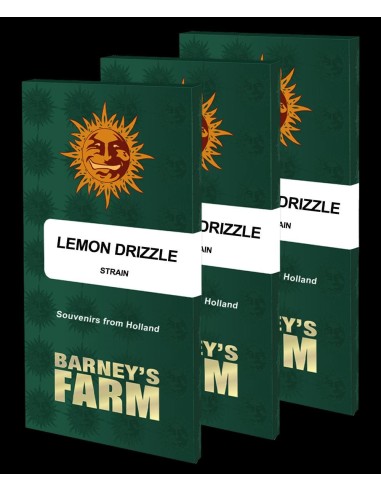 Lemon Drizzle (Barneys Farm Seeds) Semi di Cannabis