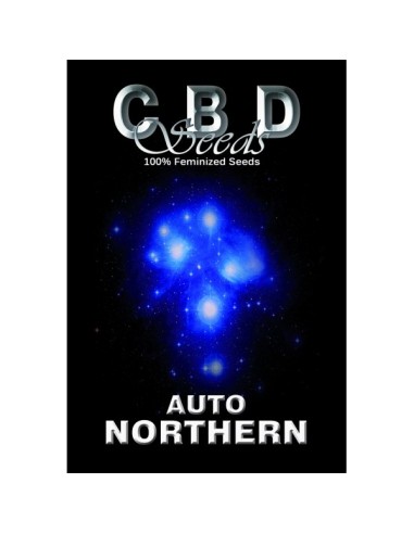 Auto Northern von CBD Seeds Hanfsamen | Oaseeds