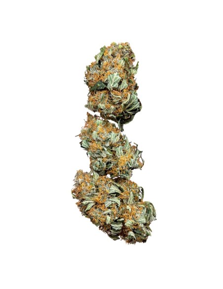 Wedding Cake | Barney's Farm | Cannabis Seeds - Zamnesia