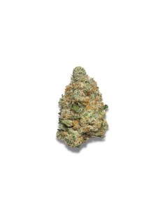 Apple Fritter (Growers Choice) - Alto THC, Sapore Fruttato