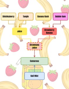 Camarosa Regular (Crockett Family Farms) Cannabis Seeds 2